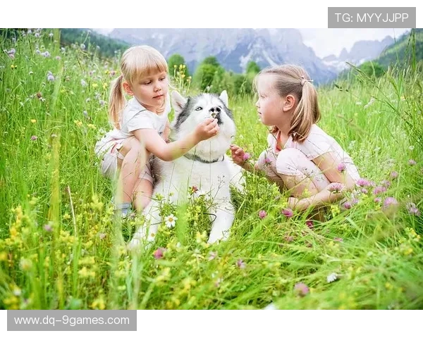 女孩与狗狗欢快互动展开温馨游戏时光共度难忘瞬间 女孩与狗狗欢快互动展开温馨游戏时光共度难忘瞬间